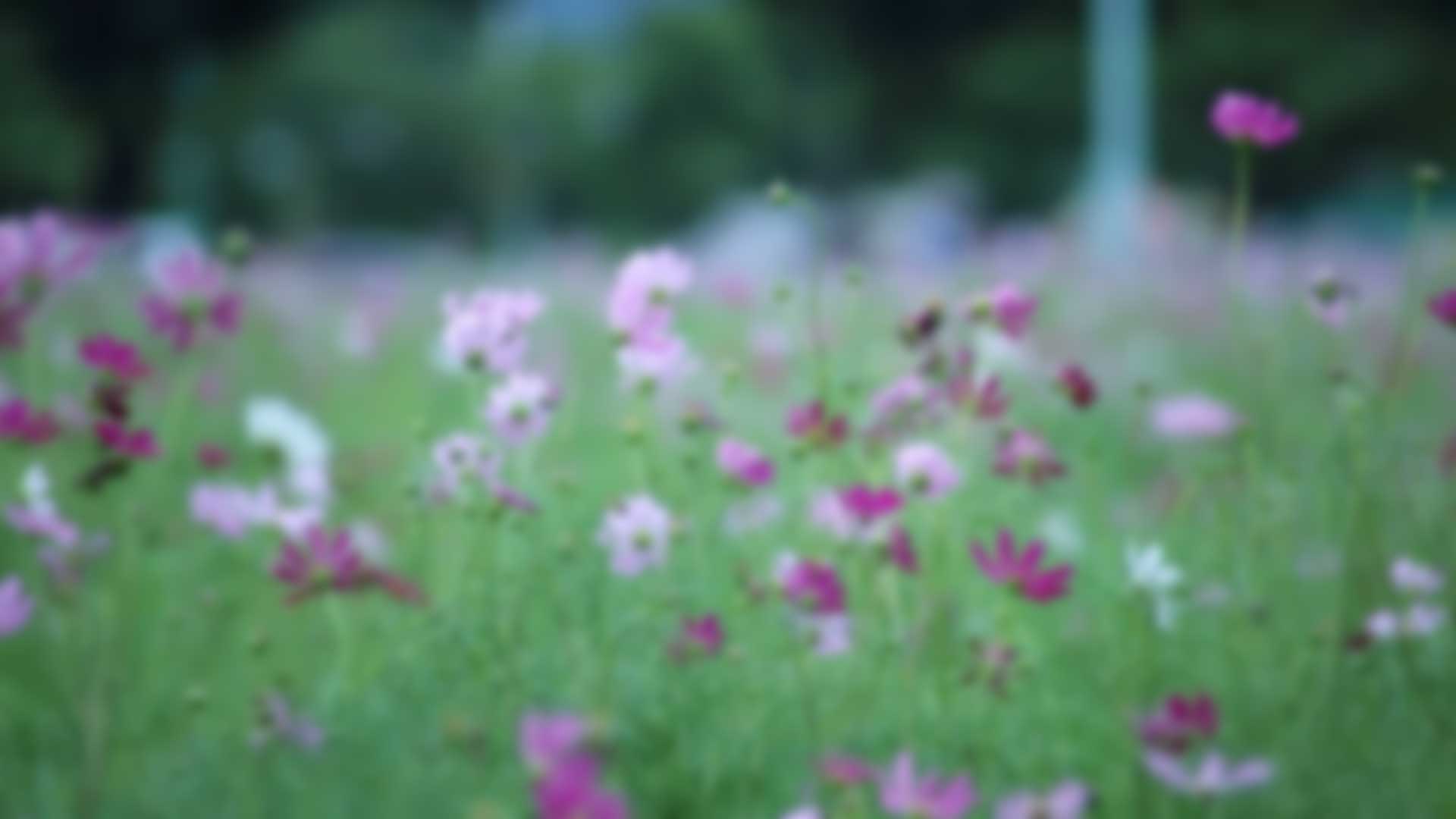 Homepage
